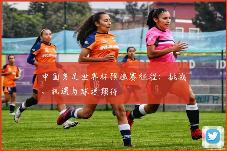 中国男足世界杯预选赛征程：挑战、机遇与球迷期待