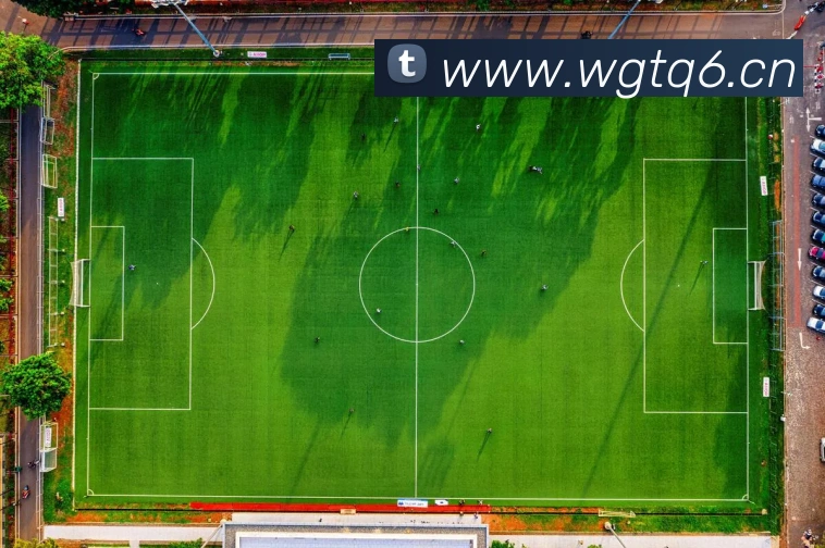 App Interface Preview