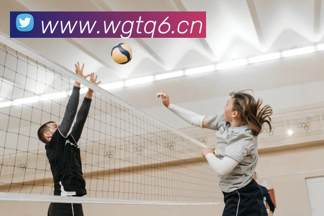 nba在线直播APP 封面图